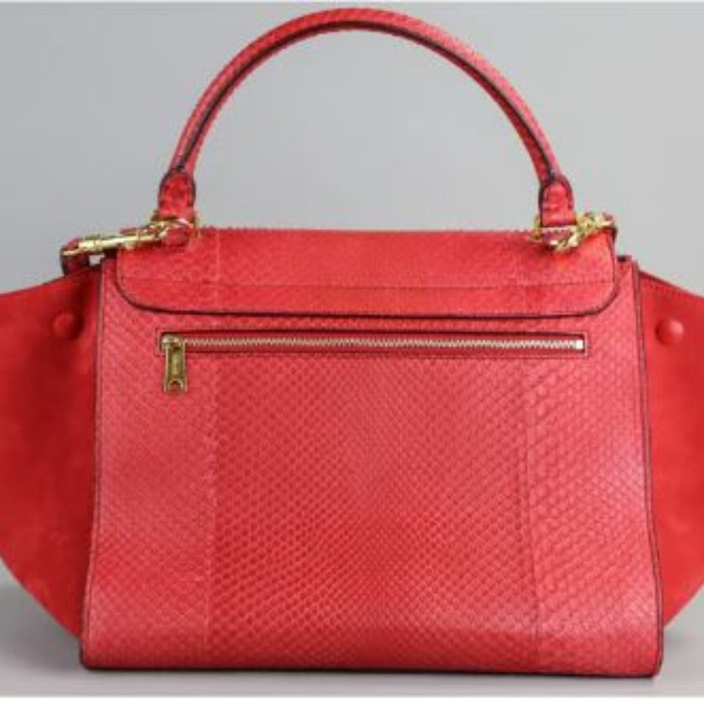 Celine Trapeze Python/Suede Satchel Bag - Picture 5 of 7
